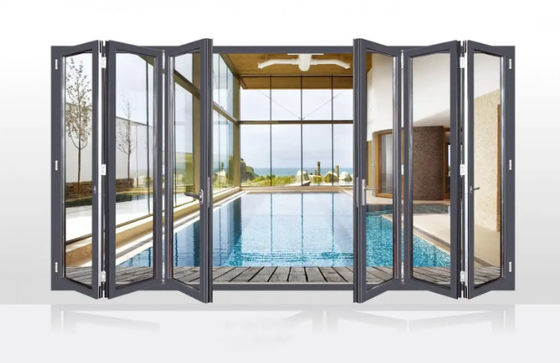 টাইফুন প্রতিরোধী কালো অ্যালুমিনিয়াম দ্বিগুণ দরজা ঘন প্রোফাইল সহ