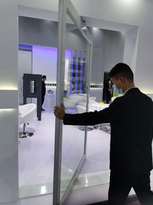 স্লিম ফ্রেম অ্যালুমিনিয়াম পিভট ডোর টেম্পারেড ক্লিয়ার গ্লাস এন্ট্রি পিভট ডোর