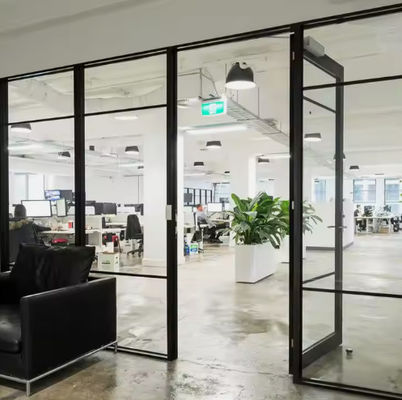 ডাবল কেসমেন্ট অ্যালুমিনিয়াম ফ্রেম সুইং ডোর টেম্পারেড গ্লাস সহ আধুনিক নকশা