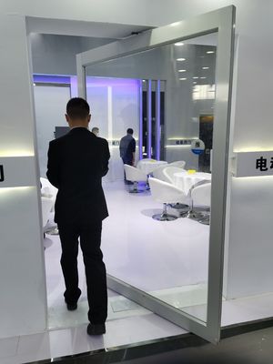 স্লিম ফ্রেম অ্যালুমিনিয়াম পিভট ডোর টেম্পারেড ক্লিয়ার গ্লাস এন্ট্রি পিভট ডোর